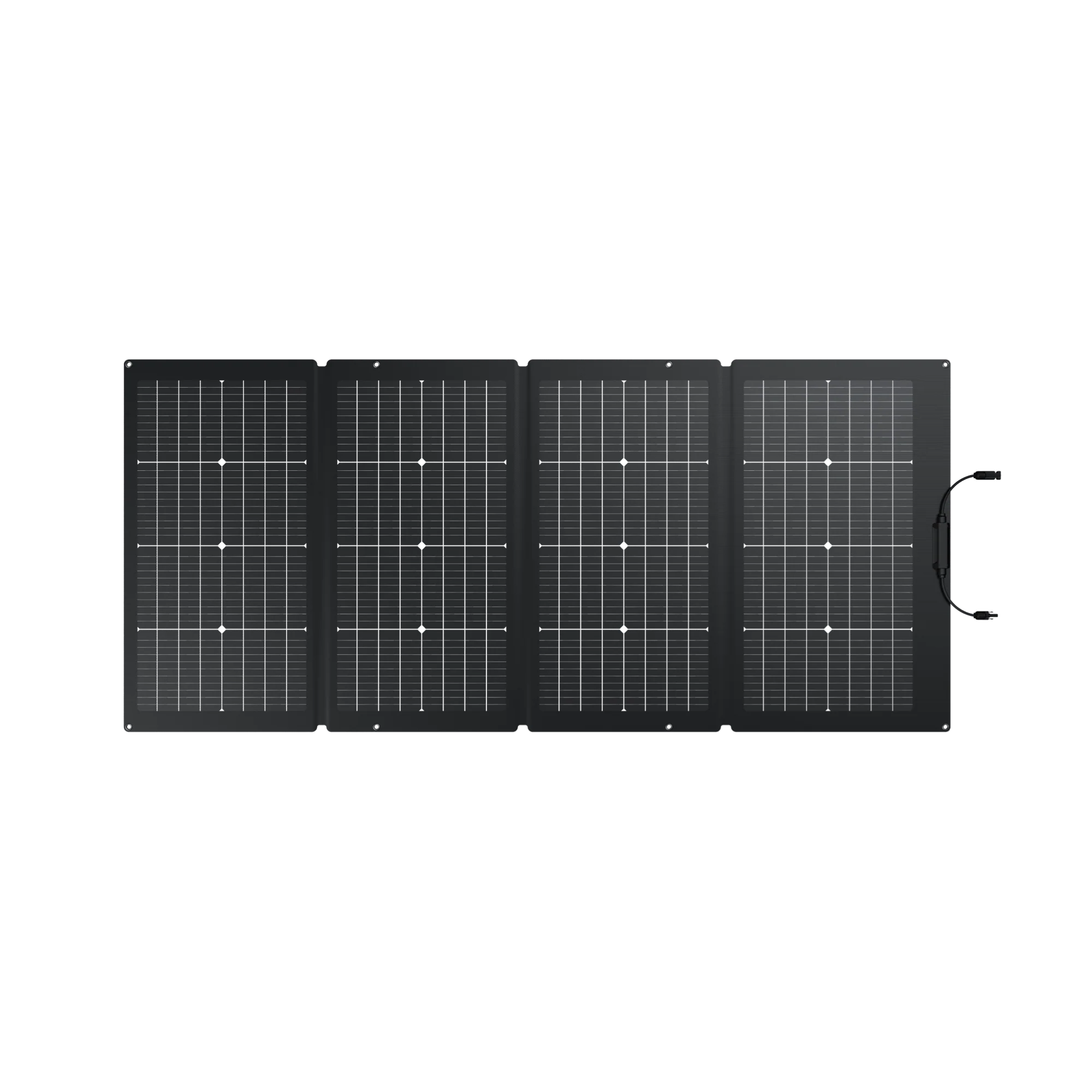 EcoFlow 220W Bifaziales Solarpanel 